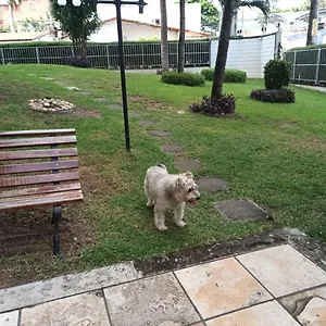 https://na-praia-alegre.fortalezahotels.org